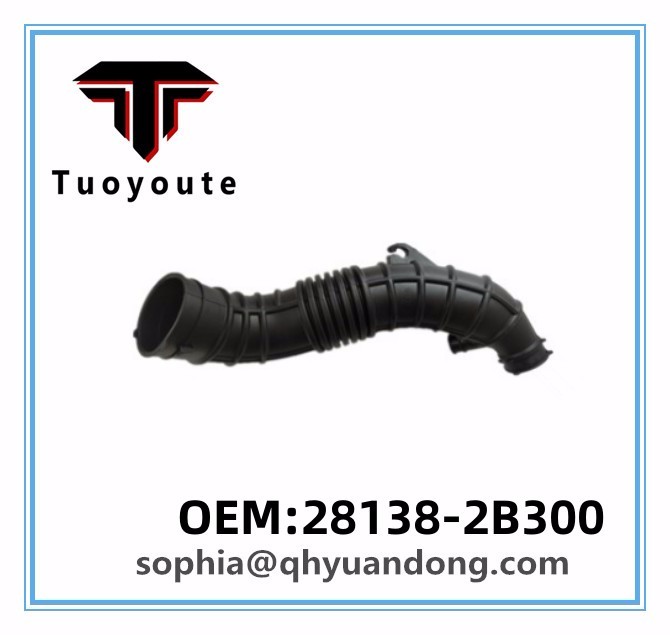 AIR INTAKE HOSE HYUNDAI KIA OEM:28138-2B300