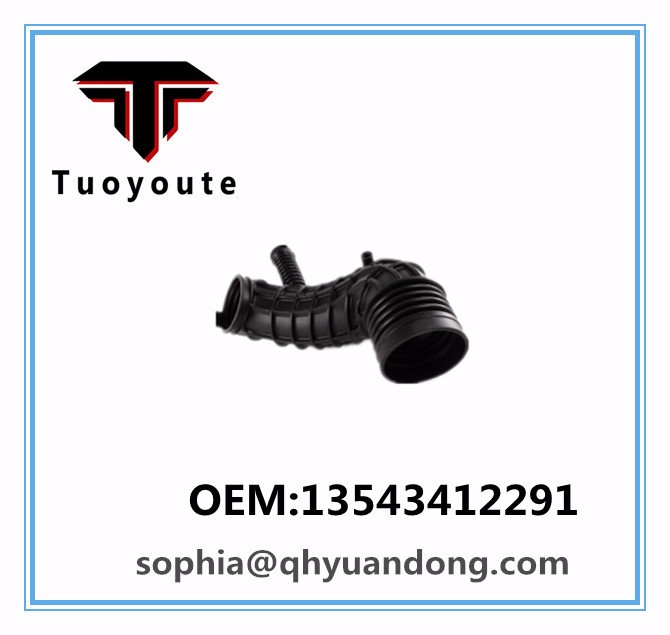 Air Cleaner Hose   BMW  OEM:13543412291