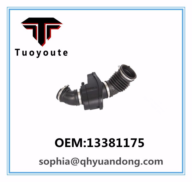 Air Intake Hose OEM:13381175