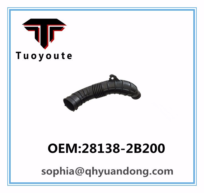 Air Intake Hose OEM:28138-2B200 281382B200