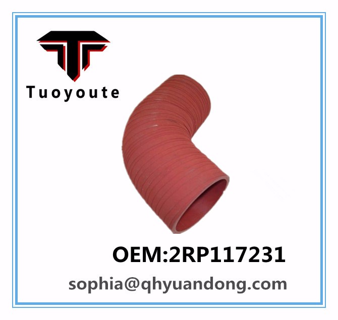 TRUCK SILICONE HOSE VW OEM:2RP117231: