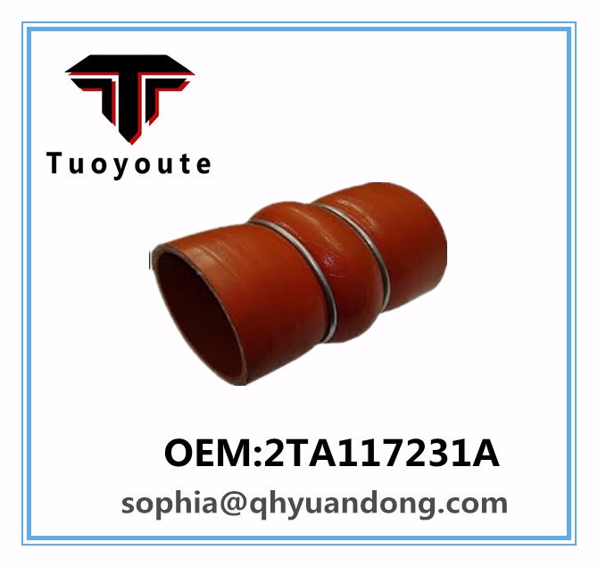 TRUCK SILICONE HOSE VW  OEM:2TA117231A