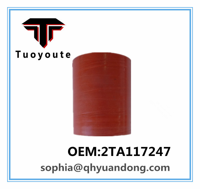 TRUCK SILICONE HOSE  VW  OEM:2TA117247