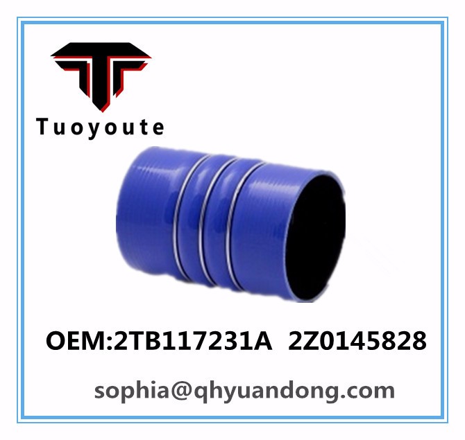 TRUCK SILICONE HOSE VW OEM:2TB117231A  2Z0145828