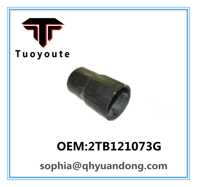 TRUCK SILICONE HOSE VW OEM:2TB121073G