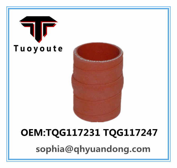 TRUCK SILICONE HOSE VW OEM:TQG117231 TQG117247